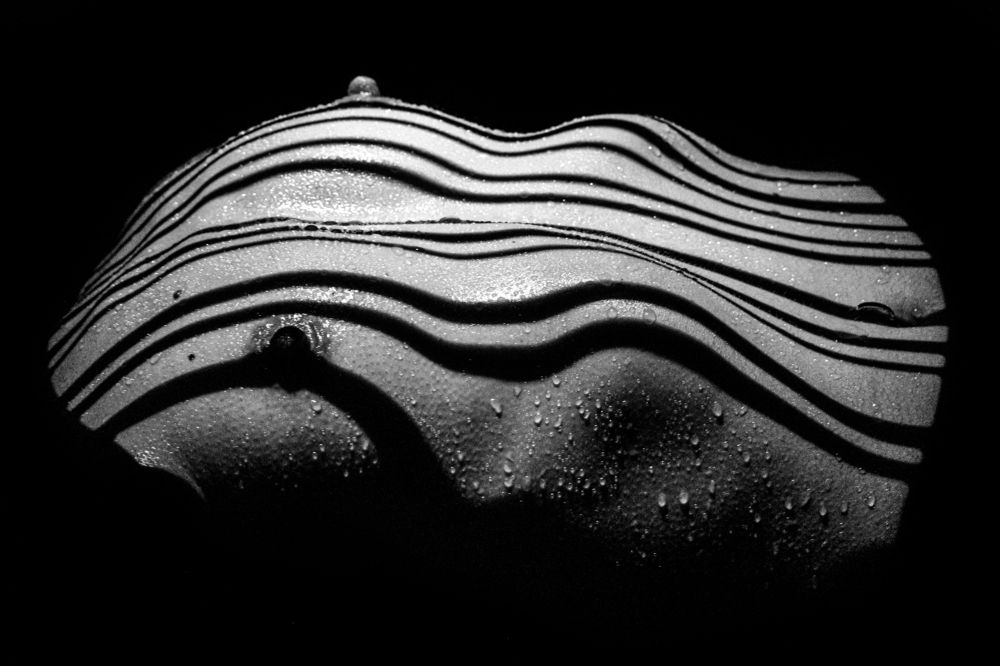 Photograph by Joe Niederberger