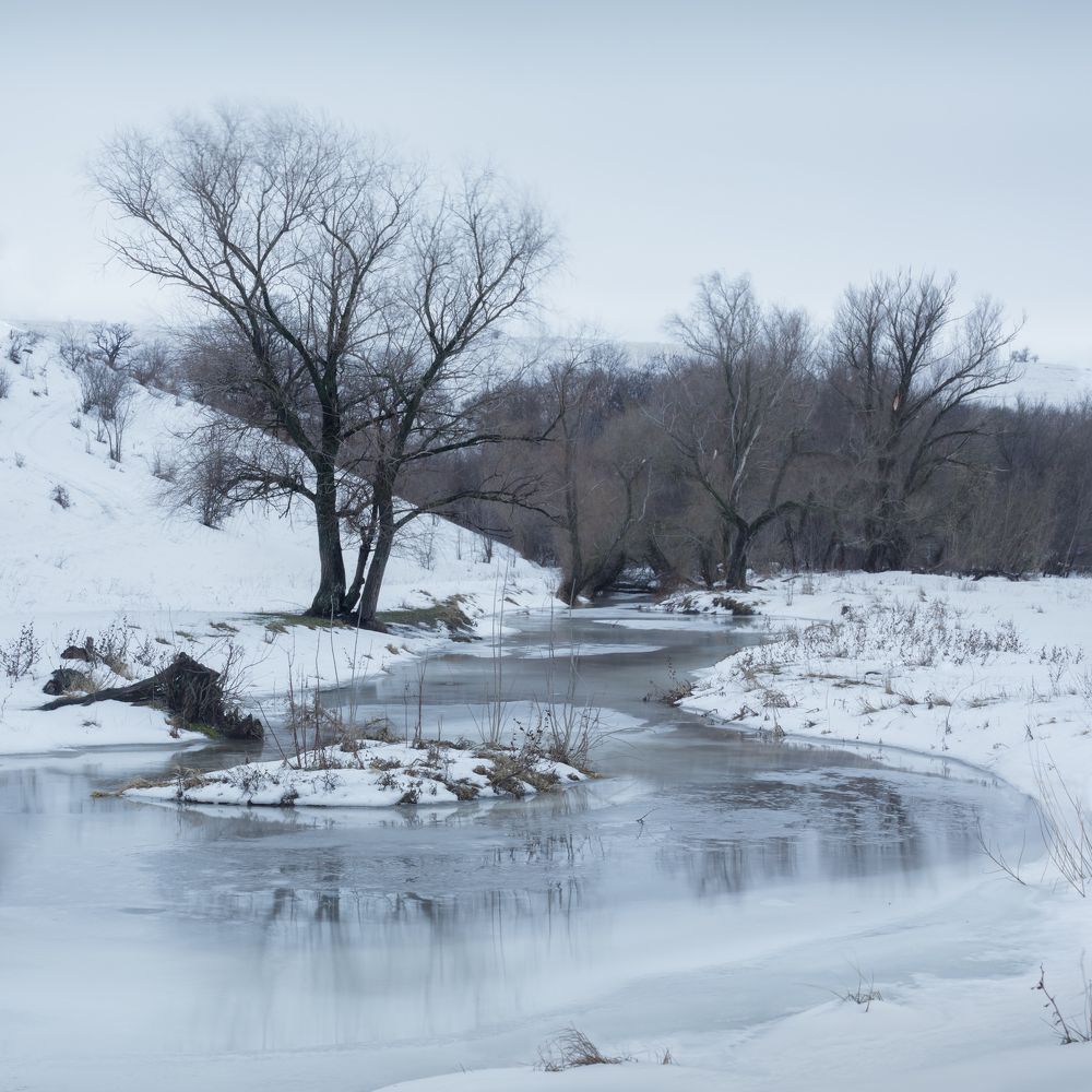 Photograph by Сергей Когда
