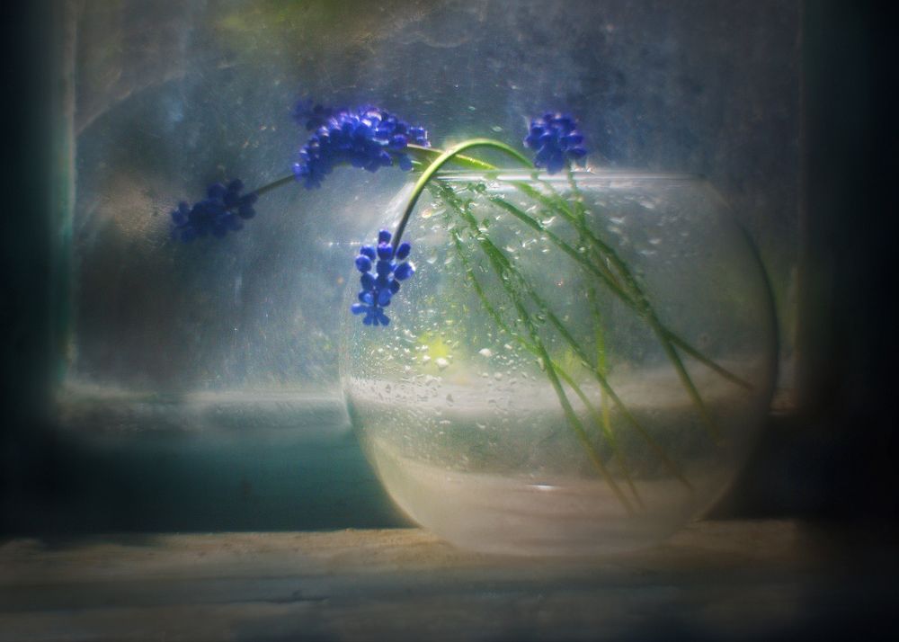 Photograph by  Владимир