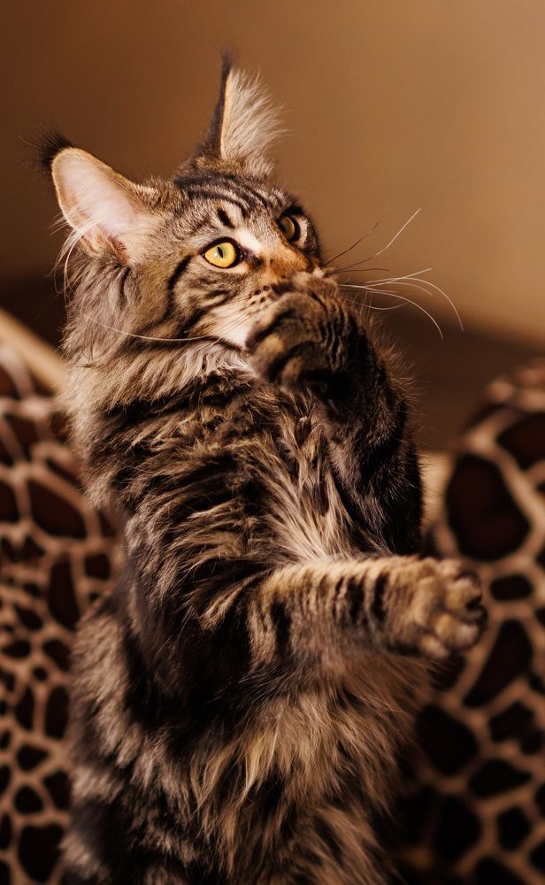 Photograph by Просолович Наталия Евгеньевна