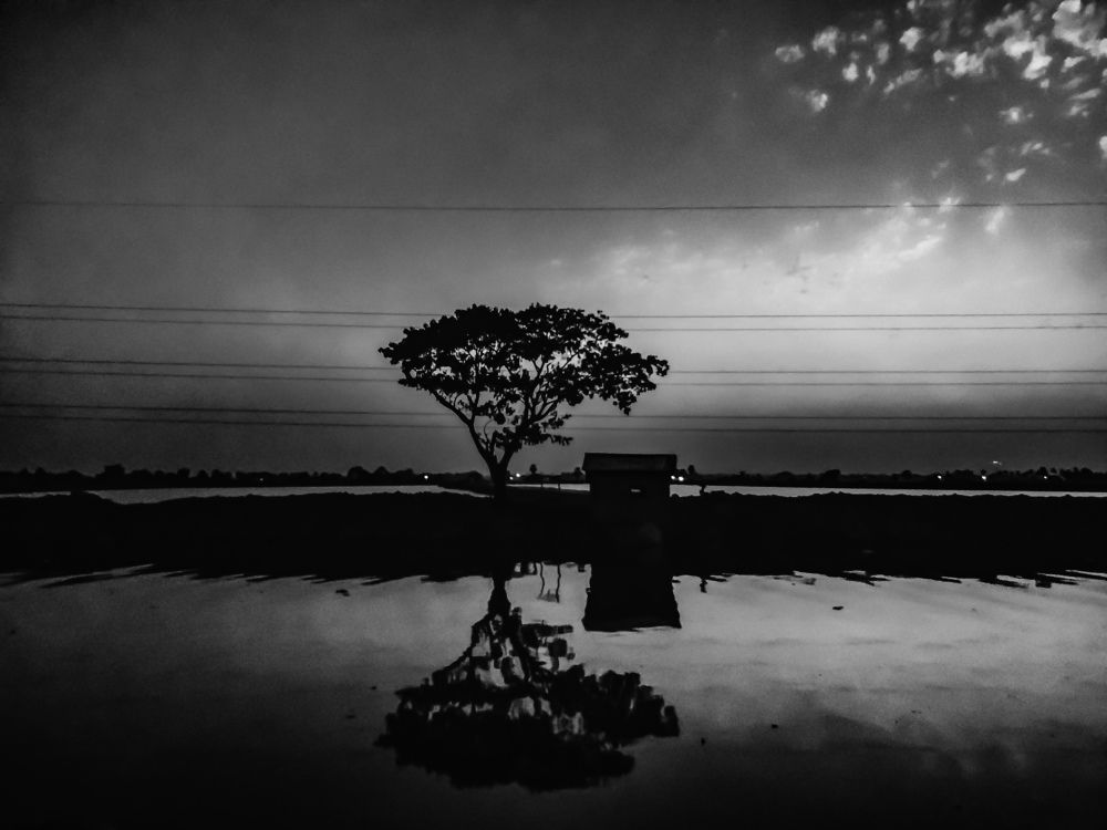 Photograph by Arkaprava Gangopadhyay