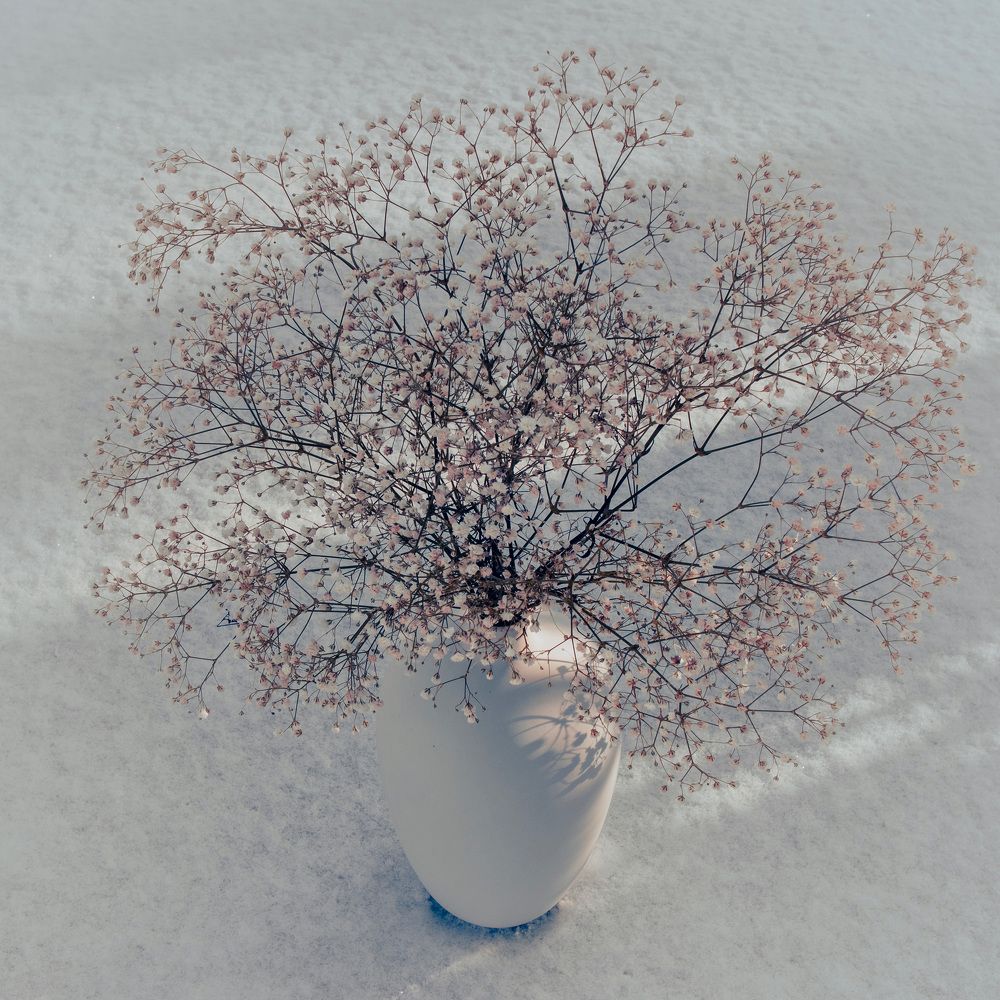 Photograph by Lyudmila Klimanova