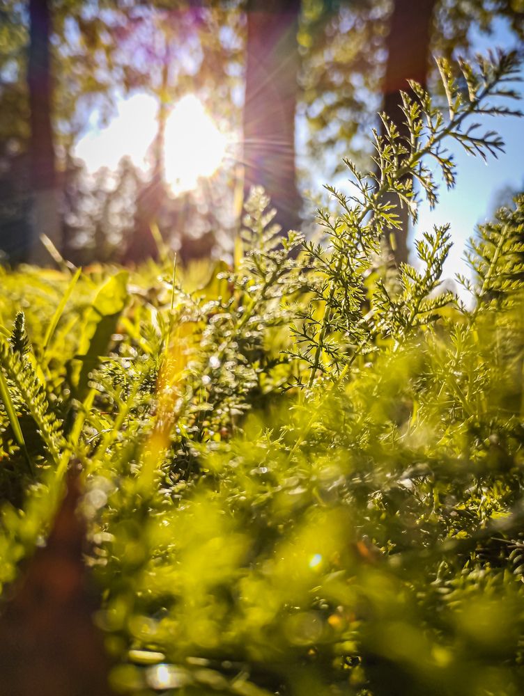 Photograph by Асхабова Юлия