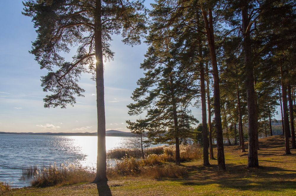 Photograph by Ольга Шуякова