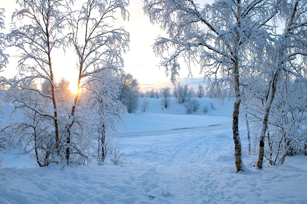 Photograph by Ирина Чечкина