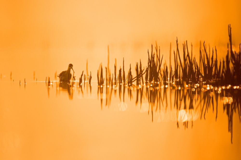 Photograph by Vibhash Garg