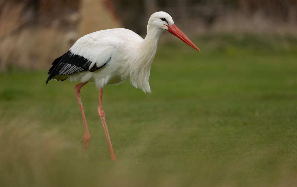 Фотография автора MARIA KULA