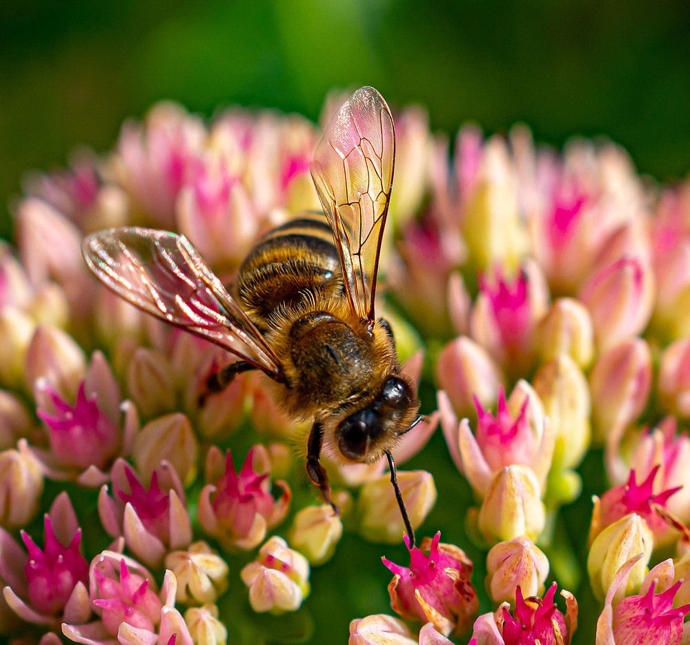 Photograph by Василий Губский