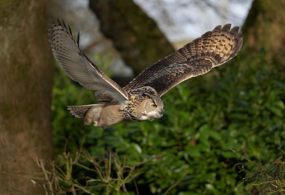 Фотография автора MARIA KULA