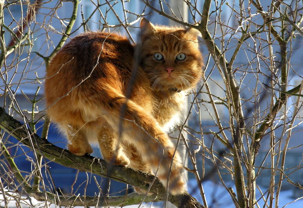 Photo #8840112