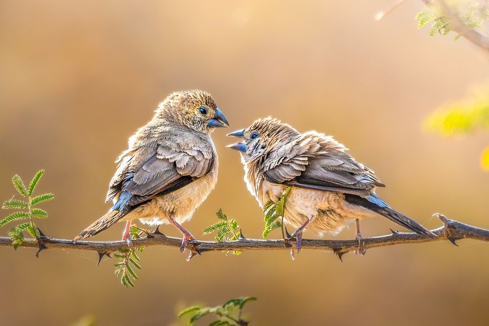 Photograph by kansara parth