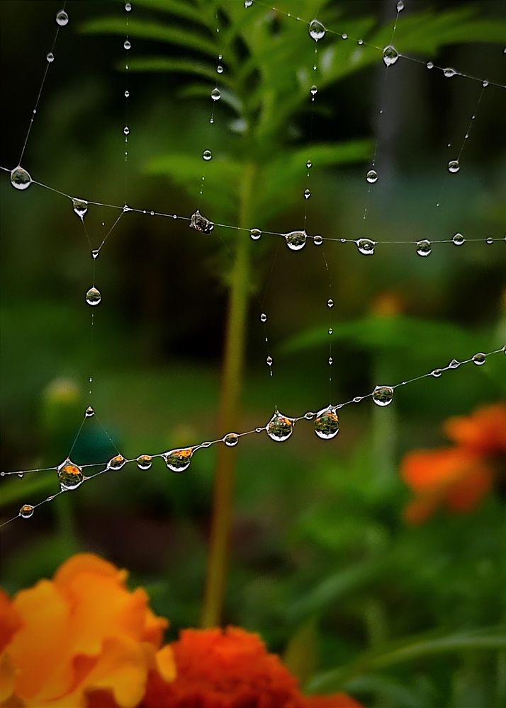 Photograph by Helen Ka