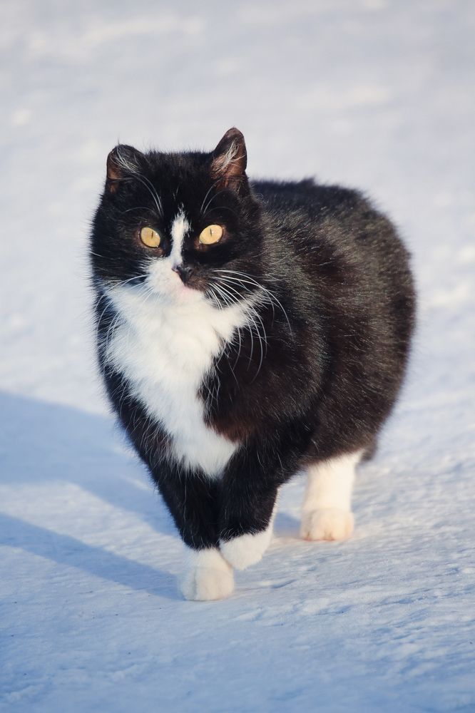 Photograph by Алексей Кочерыжкин