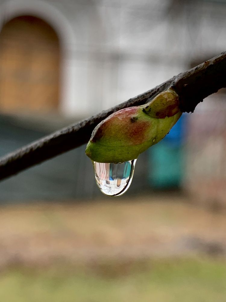 «Перевёртыш»