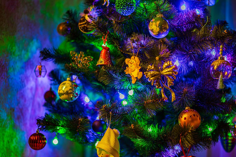 Photograph by Артём Александрович