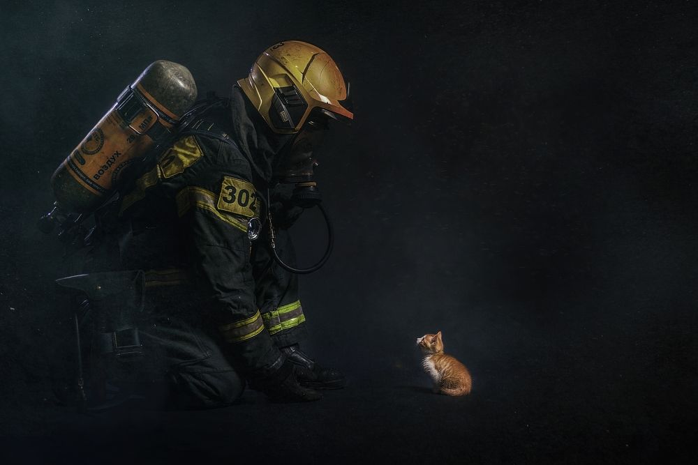 1я работа в серии