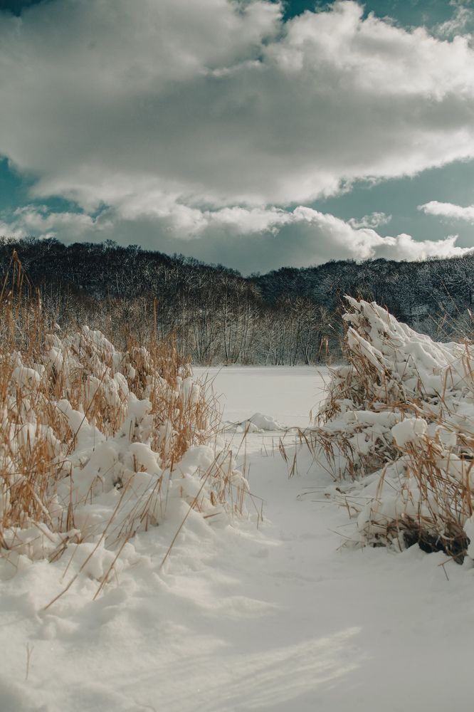 Photograph by Зара Нехай