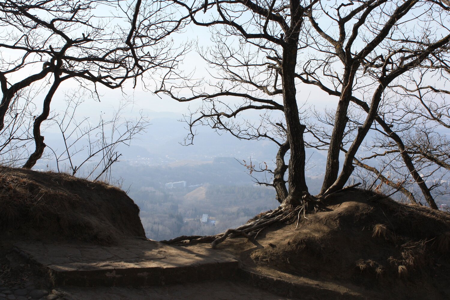 Photo #8840412