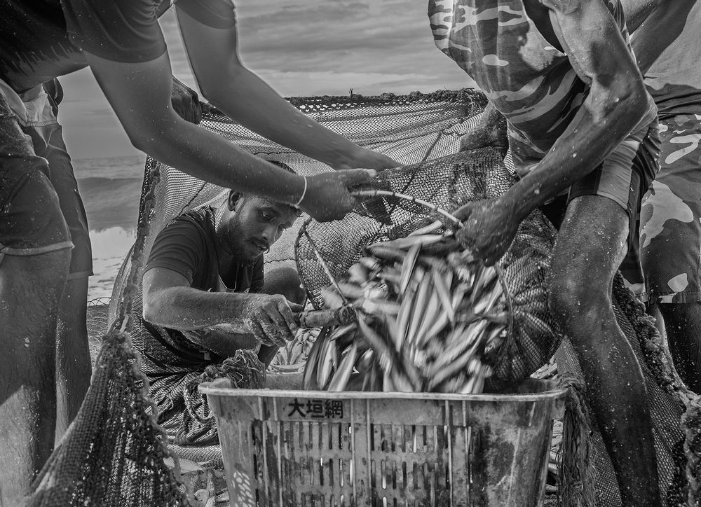 Photograph by Laddu Sasindu Pramuditha De Silva