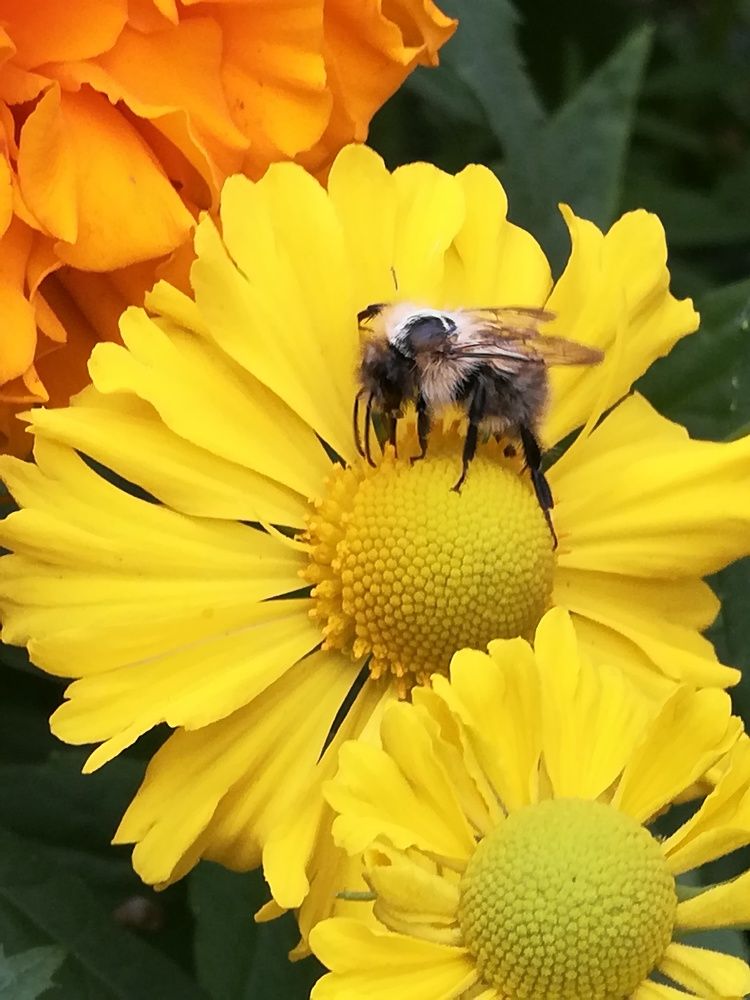 Photograph by Евгения Буркаева