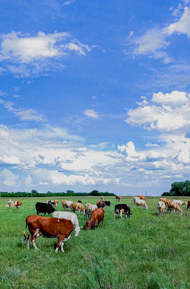 Photograph by Николай Михалев