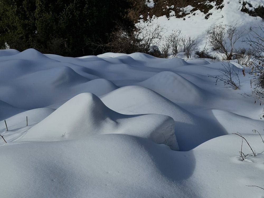 Photograph by фид зон