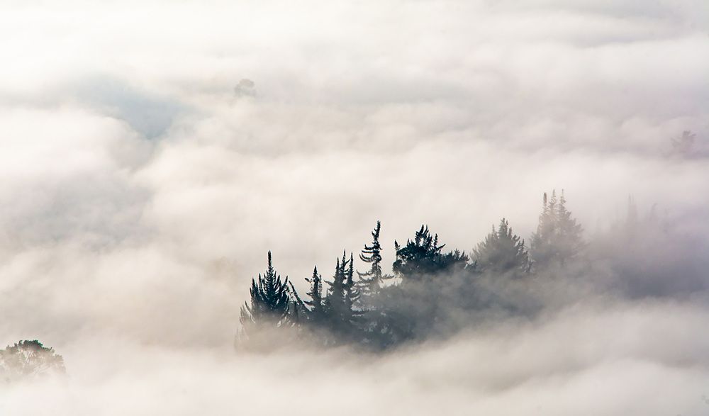 Photograph by Mario Pedraza