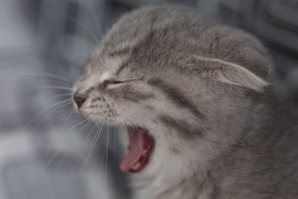 Photograph by Natalya Snegovaya