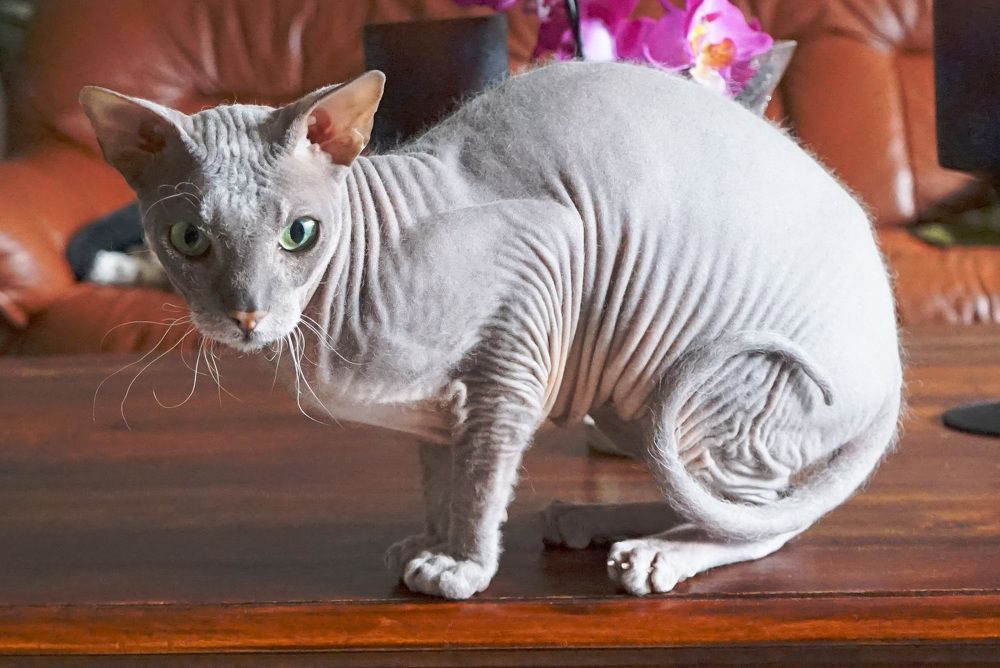 Photograph by Елена Шмарловская