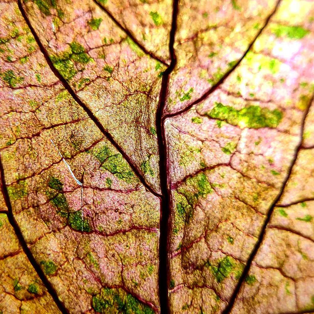 Photograph by ASHISH VERMA