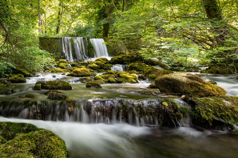 Photograph by Guruprasad Hegde