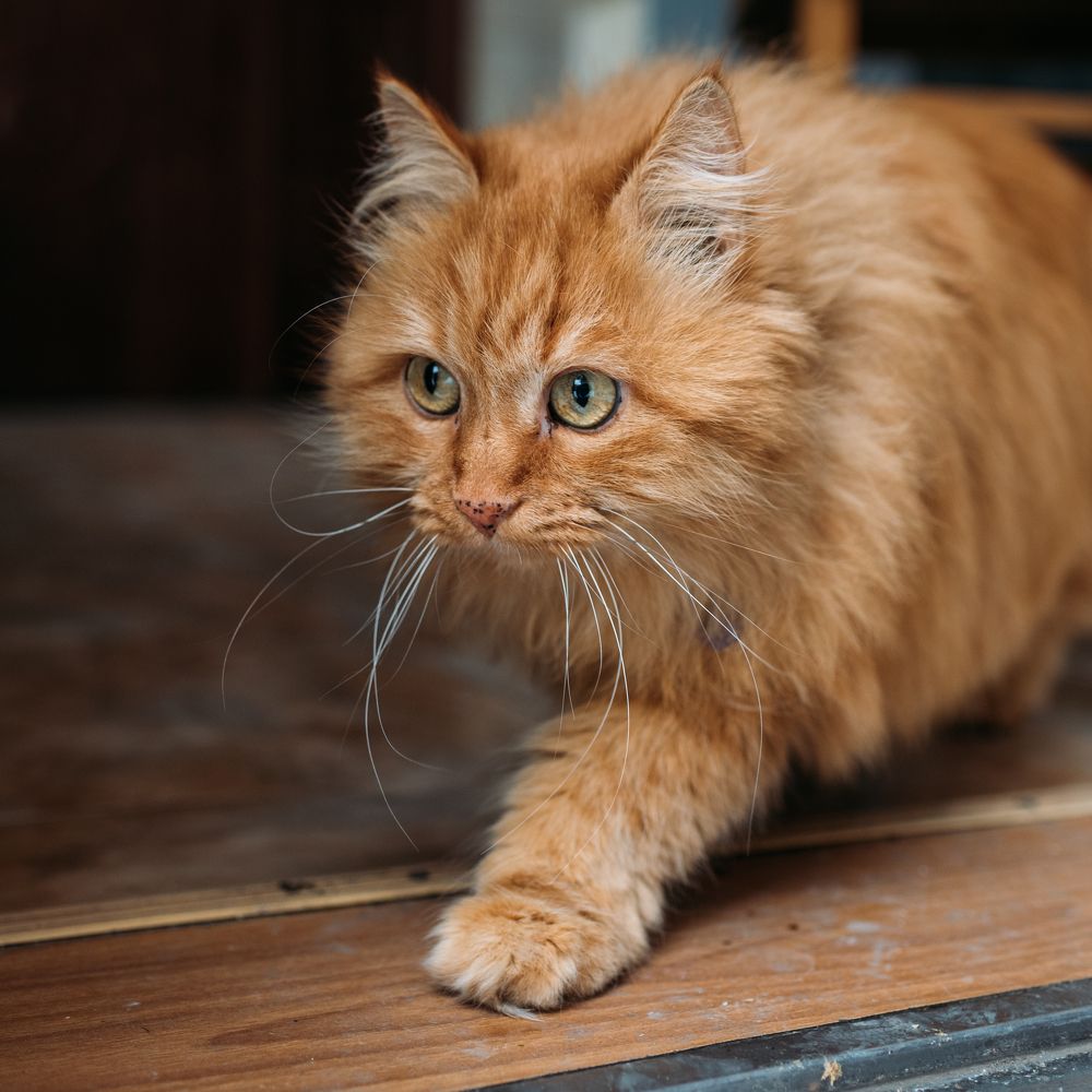 Photograph by Бедряк Юлия