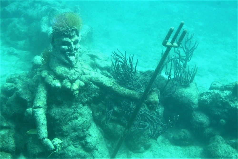 Фотография автора caroline martin (dony)