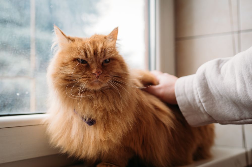 Photograph by Бедряк Юлия