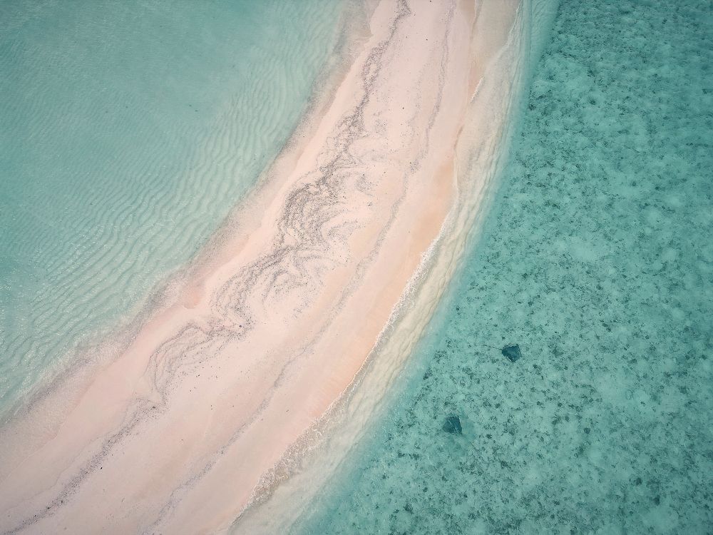 Фотография автора Evgeny Gorbunov