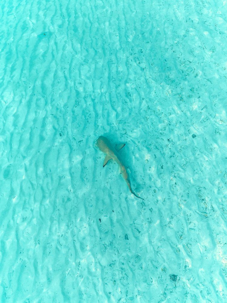 Фотография автора Evgeny Gorbunov