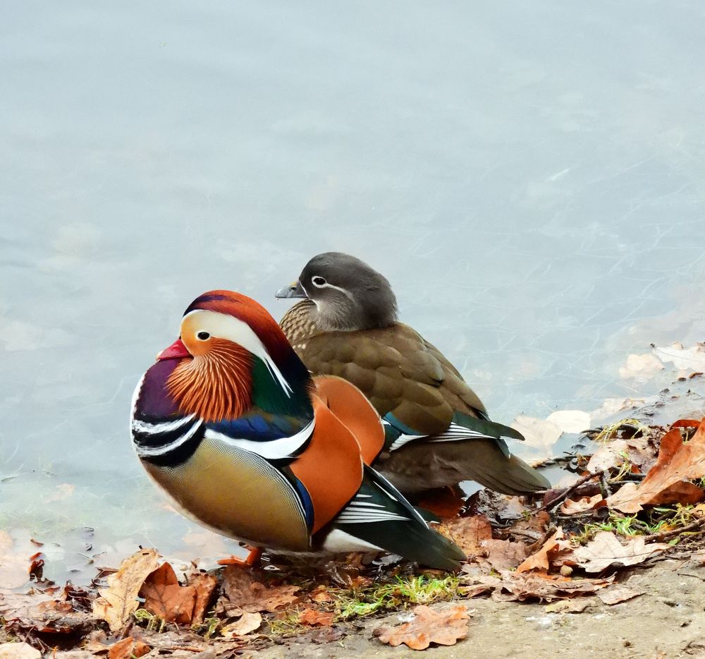 Photograph by Татьяна ТУРСКАЯ