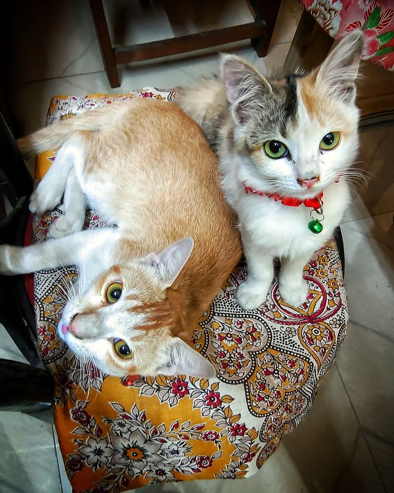 Photograph by Prasanta Roy