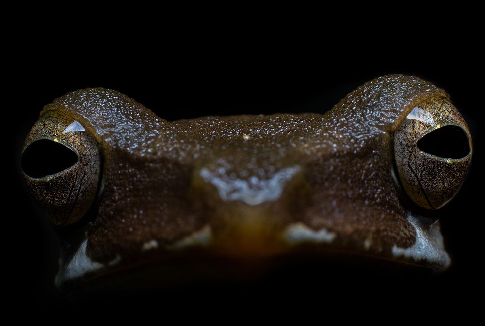 Фотография автора Laddu Sasindu Pramuditha De Silva