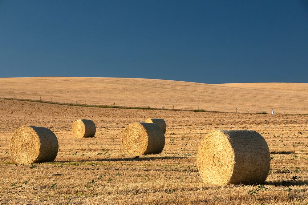 Photograph by Samir Kurtagić