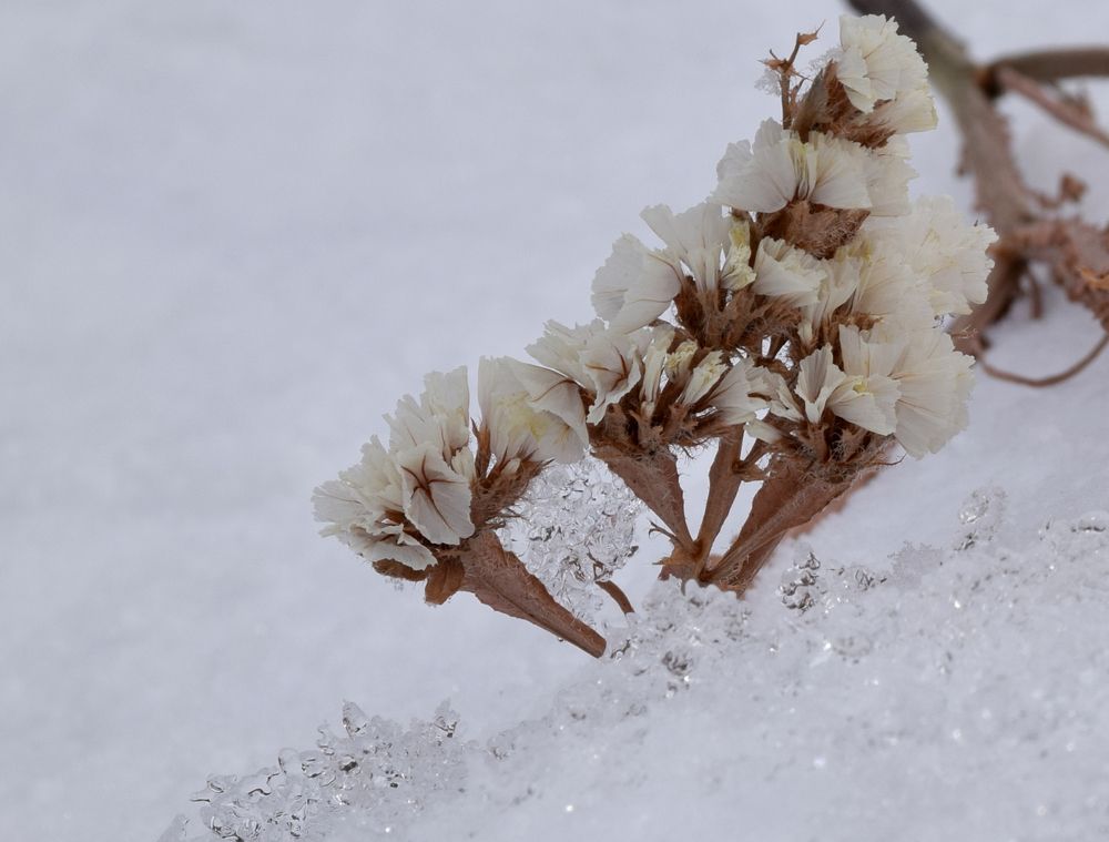 Photograph by  Татьяна Дорожко