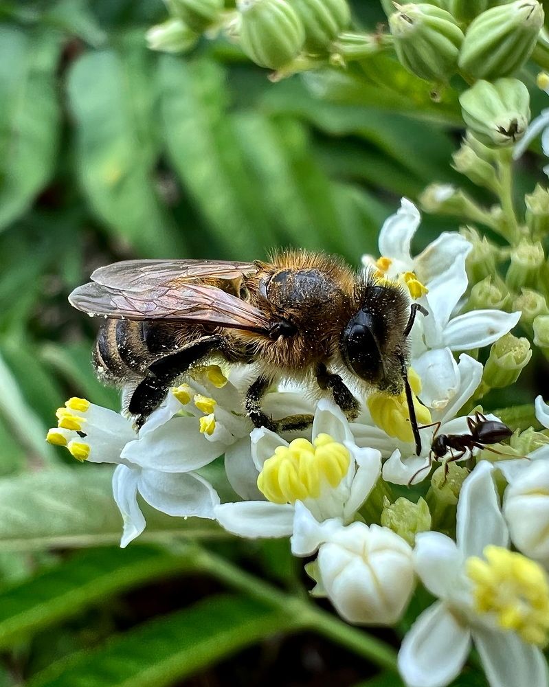Photograph by Шестакова Наталья
