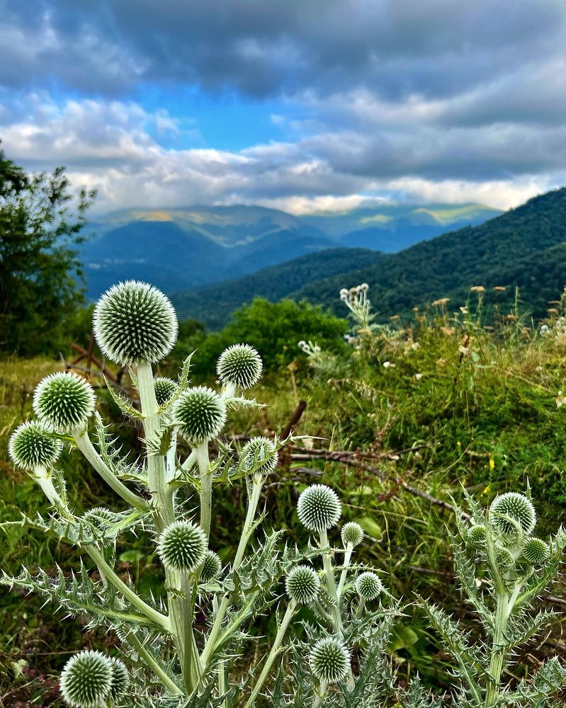 Photograph by Шестакова Наталья