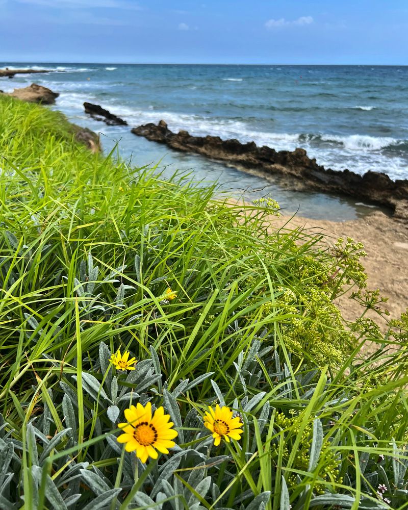 Photograph by Шестакова Наталья