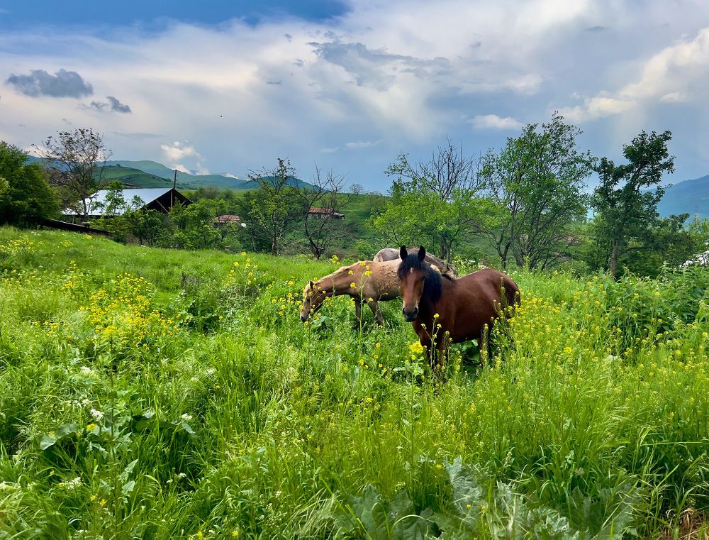 Photograph by Шестакова Наталья