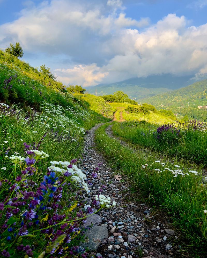 Photograph by Шестакова Наталья