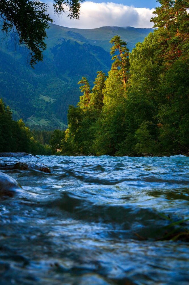 Photograph by Евгения Ботова