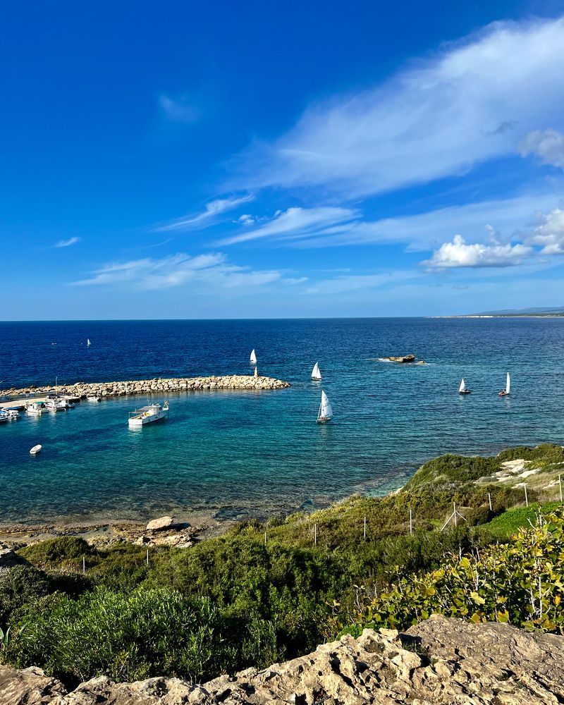 Photograph by Шестакова Наталья