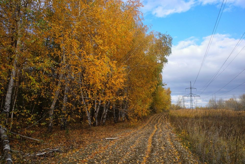 Photograph by Алла Никушкина