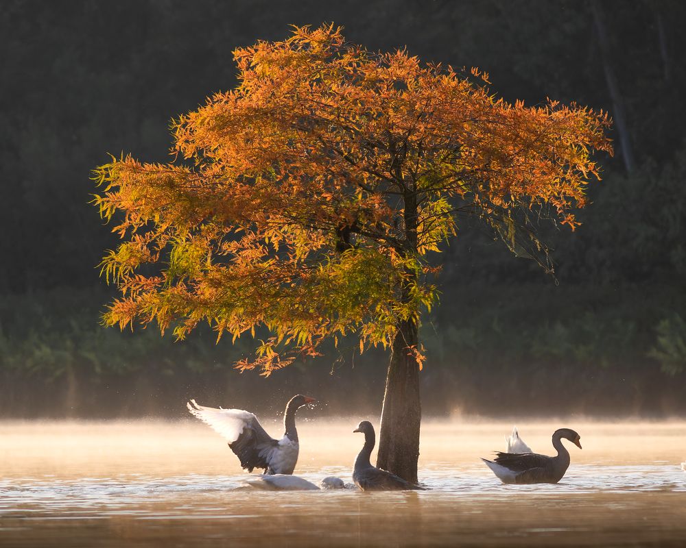 Photograph by Valdir Hobus